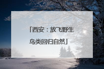 西安：放飞野生鸟类回归自然