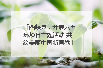西峡县：开展六五环境日主题活动 共绘美丽中国新画卷