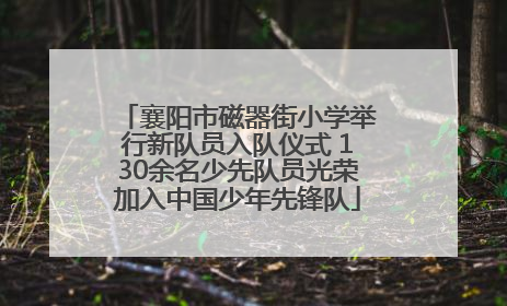 襄阳市磁器街小学举行新队员入队仪式 130余名少先队员光荣加入中国少年先锋队