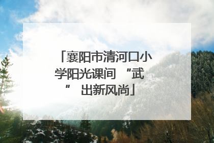襄阳市清河口小学阳光课间 “武” 出新风尚