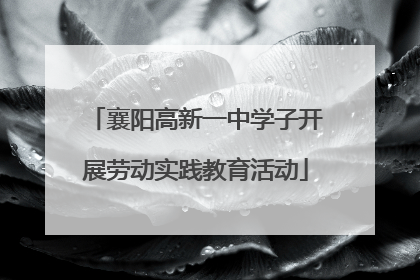 襄阳高新一中学子开展劳动实践教育活动