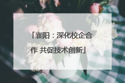 襄阳：深化校企合作 共促技术创新
