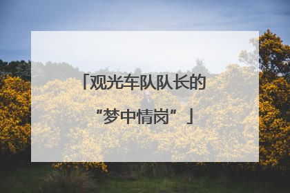 观光车队队长的“梦中情岗”
