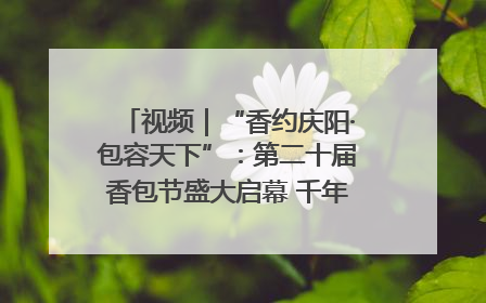 视频｜“香约庆阳·包容天下”：第二十届香包节盛大启幕 千年非遗香飘世界