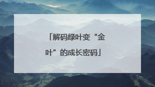解码绿叶变“金叶”的成长密码