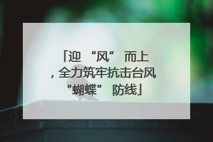 迎 “风” 而上，全力筑牢抗击台风 “蝴蝶” 防线