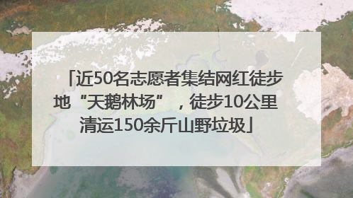 近50名志愿者集结网红徒步地“天鹅林场”，徒步10公里清运150余斤山野垃圾