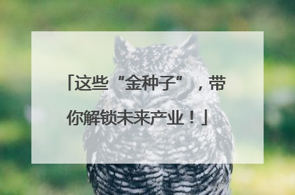 这些“金种子”，带你解锁未来产业！