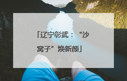 辽宁彰武：“沙窝子”焕新颜