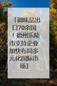 调味品出口70余国！德州乐陵市支持企业加快布局多元化国际市场