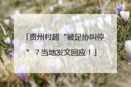 贵州村超“被足协叫停”？当地发文回应！