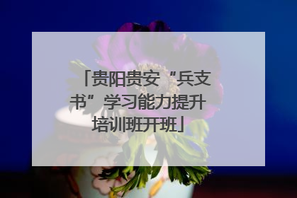 贵阳贵安“兵支书”学习能力提升培训班开班