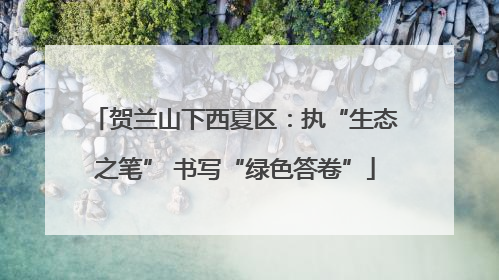 贺兰山下西夏区：执“生态之笔” 书写“绿色答卷”