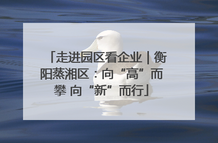 走进园区看企业｜衡阳蒸湘区：向“高”而攀 向“新”而行