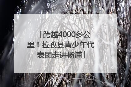 跨越4000多公里！拉孜县青少年代表团走进杨浦