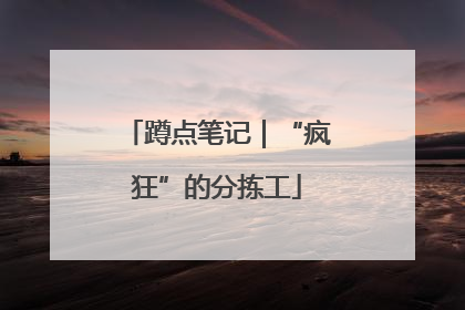 蹲点笔记｜“疯狂”的分拣工