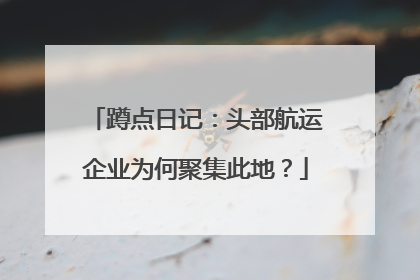 蹲点日记：头部航运企业为何聚集此地？