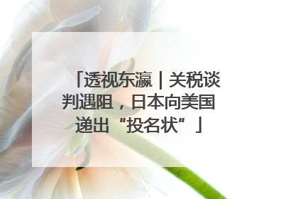 透视东瀛｜关税谈判遇阻，日本向美国递出“投名状”