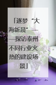 逐梦“大海新晨”——探访泰州不同行业火热的建设场景