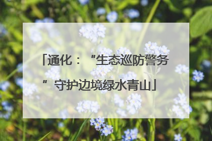 通化：“生态巡防警务”守护边境绿水青山