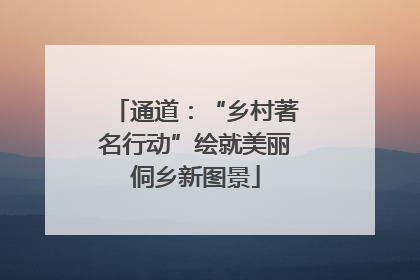 通道：“乡村著名行动”绘就美丽侗乡新图景