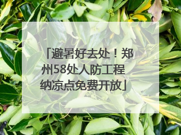 避暑好去处！郑州58处人防工程纳凉点免费开放