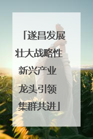 遂昌发展壮大战略性新兴产业 龙头引领 集群共进