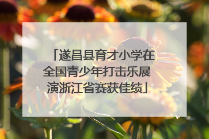 遂昌县育才小学在全国青少年打击乐展演浙江省赛获佳绩