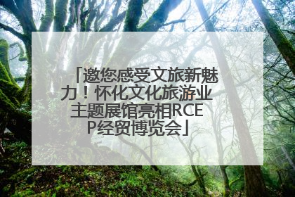 邀您感受文旅新魅力！怀化文化旅游业主题展馆亮相RCEP经贸博览会