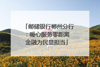 邮储银行郴州分行：暖心服务零距离 金融为民显担当