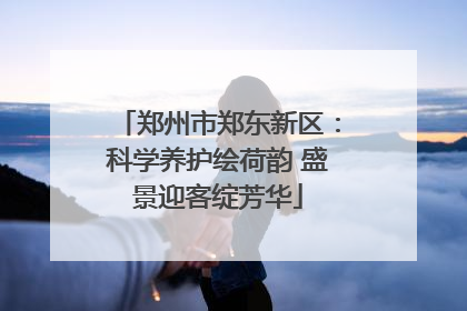 郑州市郑东新区：科学养护绘荷韵 盛景迎客绽芳华