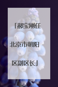 郝宝刚任北京市朝阳区副区长