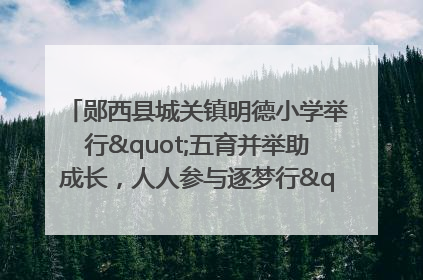 郧西县城关镇明德小学举行"五育并举助成长，人人参与逐梦行"庆六一活动