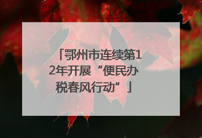 鄂州市连续第12年开展“便民办税春风行动”
