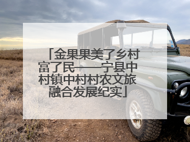 金果果美了乡村富了民——宁县中村镇中村村农文旅融合发展纪实