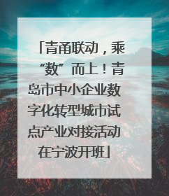 青甬联动，乘“数”而上！青岛市中小企业数字化转型城市试点产业对接活动在宁波开班