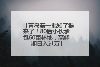 青岛第一批知了猴来了！80后小伙承包60亩林地，高峰期日入过万
