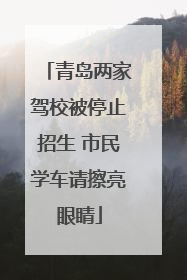 青岛两家驾校被停止招生 市民学车请擦亮眼睛