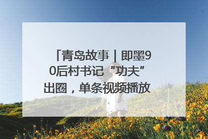 青岛故事｜即墨90后村书记“功夫”出圈，单条视频播放量过600万