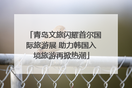 青岛文旅闪耀首尔国际旅游展 助力韩国入境旅游再掀热潮