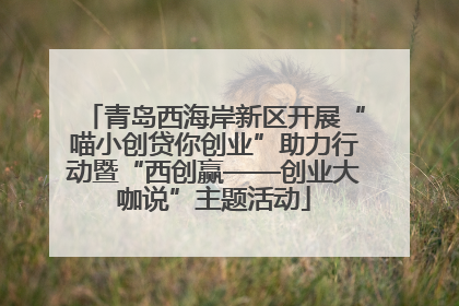 青岛西海岸新区开展“喵小创贷你创业”助力行动暨“西创赢——创业大咖说”主题活动