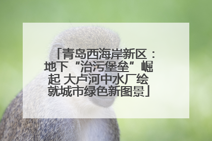 青岛西海岸新区：地下“治污堡垒”崛起 大卢河中水厂绘就城市绿色新图景