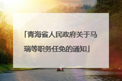 青海省人民政府关于马瑞等职务任免的通知