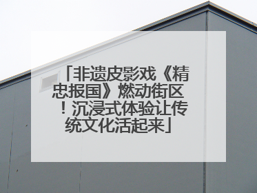 非遗皮影戏《精忠报国》燃动街区！沉浸式体验让传统文化活起来