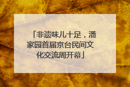 非遗味儿十足，潘家园首届京台民间文化交流周开幕