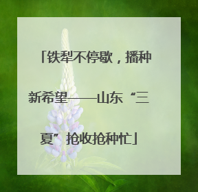 铁犁不停歇，播种新希望——山东“三夏”抢收抢种忙