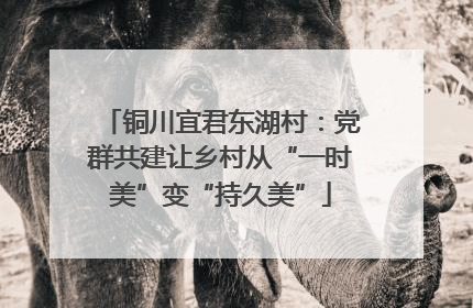 铜川宜君东湖村：党群共建让乡村从“一时美”变“持久美”
