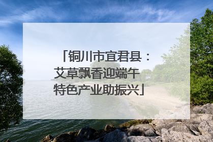 铜川市宜君县：艾草飘香迎端午 特色产业助振兴