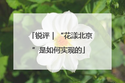 锐评｜“花漾北京”是如何实现的