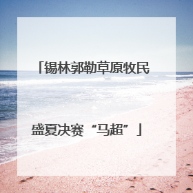 锡林郭勒草原牧民盛夏决赛“马超”